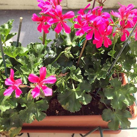 Villanova Mondovì Hotel Villa Cinzia חדר תמונה